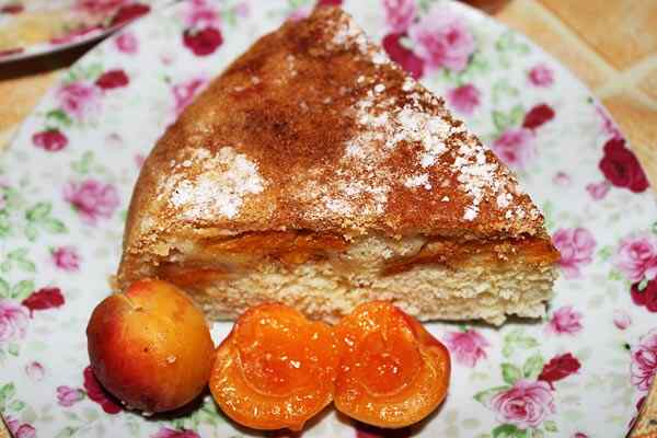 Шарлотка в мультиварке с абрикосами Шарлотка в мультиварке