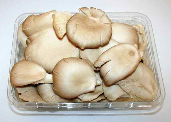 Постная пицца с грибами