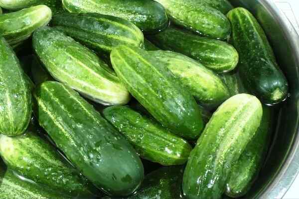 Маринованные огурцы по польски