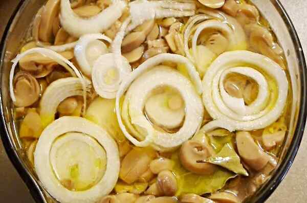 Маринованные шампиньоны в домашних условиях рецепт